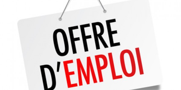 Offre d'emploi: Chef de Rang